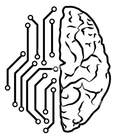 Research Project 3